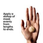 L'Oréal Professionnel Absolut Repair Mask For Dry and Damaged Hair With Protein & Omega-9 [250 g]