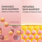 Lakme Peach Pro Ceramide Moisturizer with Vitamin E,For Dry Skin,Normal Skin & Sensitive Skin [200 ml]